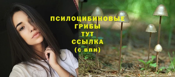 ГАЛЛЮЦИНОГЕННЫЕ ГРИБЫ Алексин