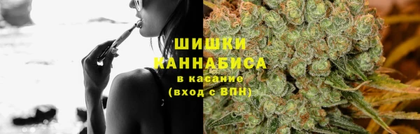 ГАЛЛЮЦИНОГЕННЫЕ ГРИБЫ Алексин