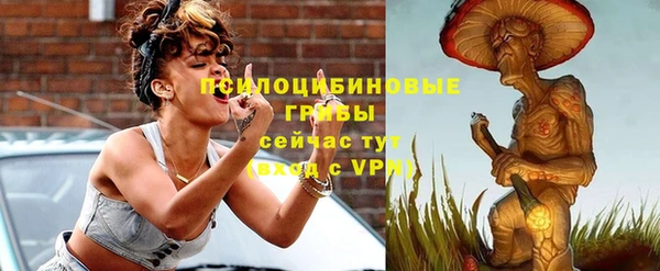 ГАЛЛЮЦИНОГЕННЫЕ ГРИБЫ Алексин