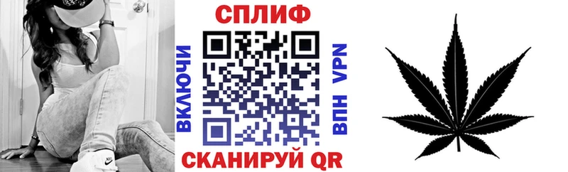 сколько стоит  Сосновоборск  Конопля White Widow 